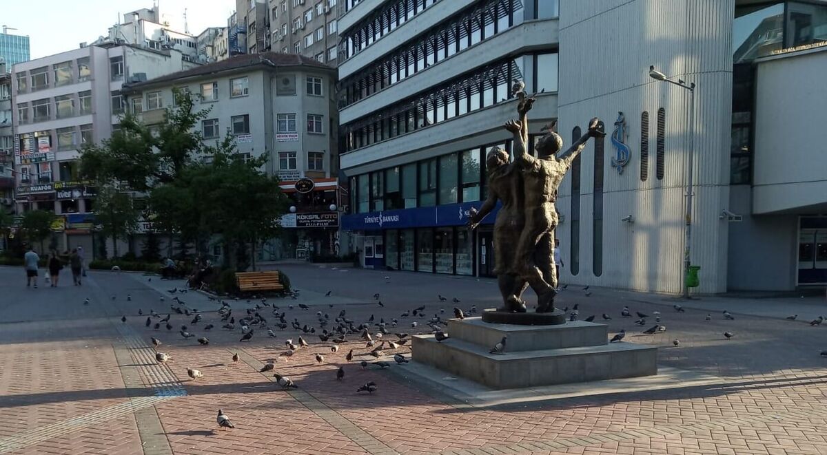 Birds